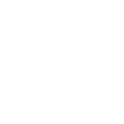 Smiconsult